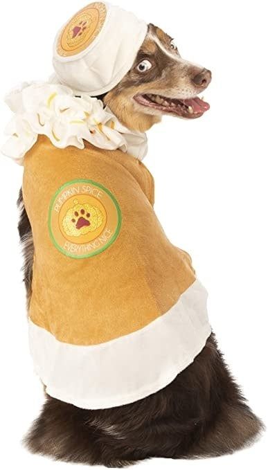 Rubie&#39;s Costumes Pumpkin Spice Latte XL FINAL SALE
