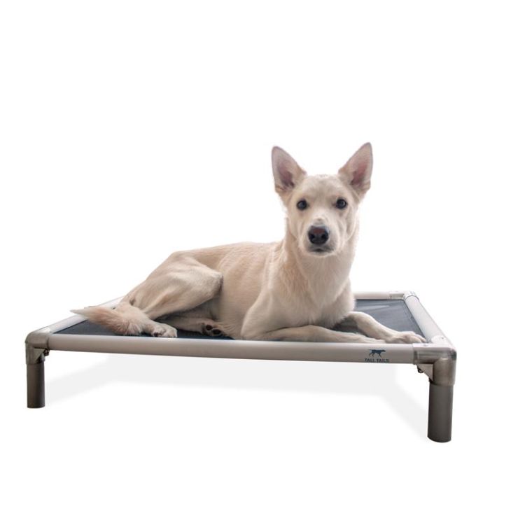 Tall Tails Elevated Bed L (FINAL SALE)