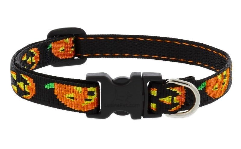 Lupine Halloween Collar Jack O Lantern 1&quot; 16-28 FINAL SALE