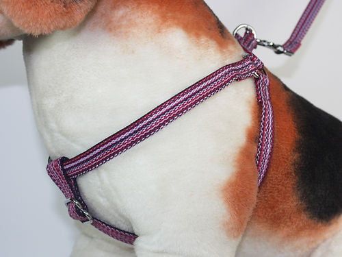 Goli Design Dog Harness Haight Ashberry Huckleberry M
