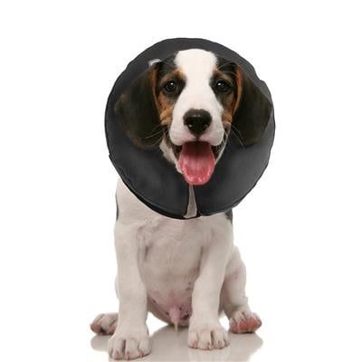 ZenPet Orginal ProCollar