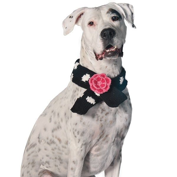 Chilly Dog Polka Black Scarf L FINAL SALE