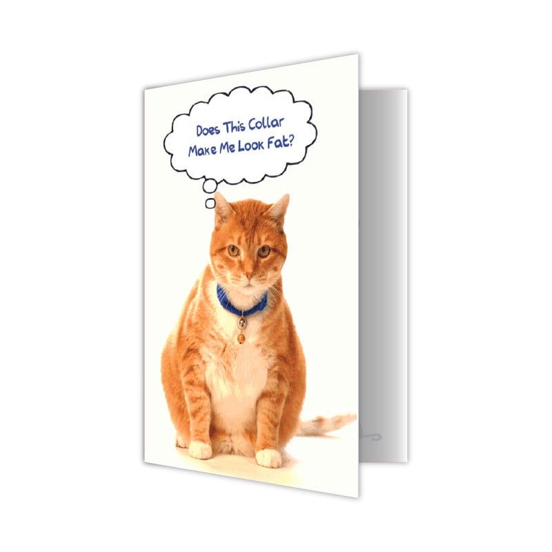 Dog Speak Card Cat Birthday Does This Collar Make Me Look Fat FINAL SALE