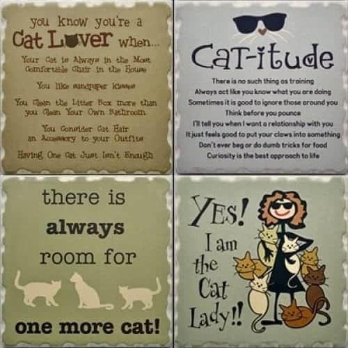 Dog Speak Coasters Cat Lover Set FINAL SALE