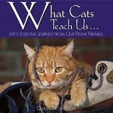 Willow Creek Book What Cats Teach Us (FINAL SALE)