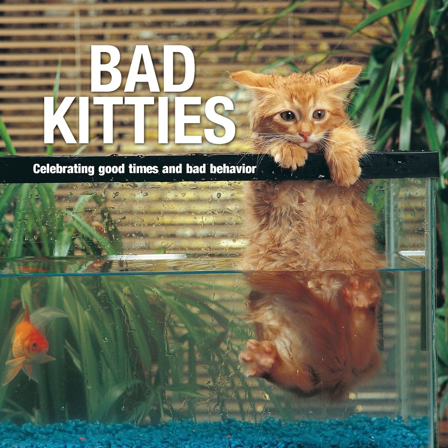 Willow Creek Book Bad Kitties, Cute Kitties (FINAL SALE)