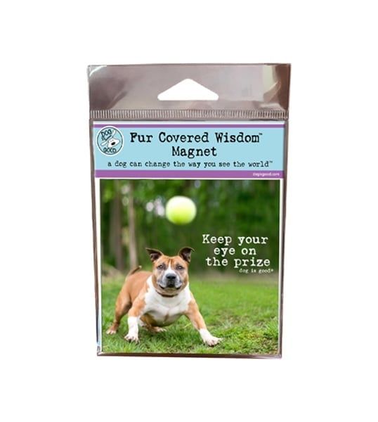 Dog is Good Magnet Eye on the Prize (FINAL SALE)