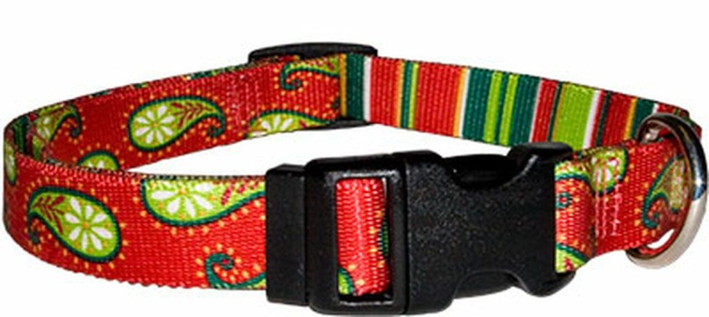 Yellow Dog Collar Holiday Paisley XS FINAL SALE