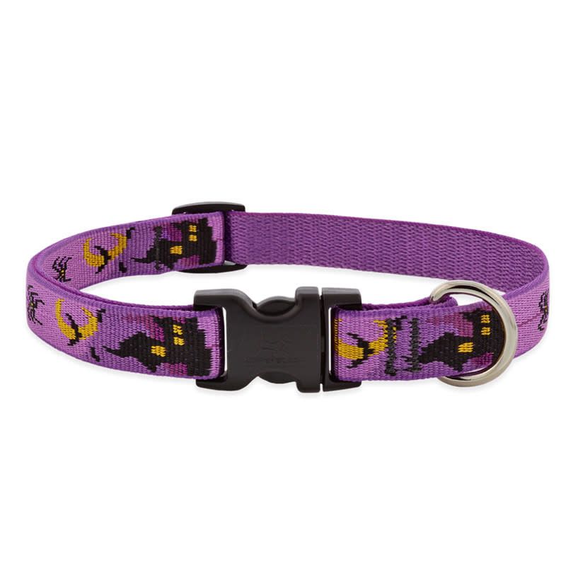 Lupine Halloween Collar Haunted House 1&quot; 12-20 FINAL SALE