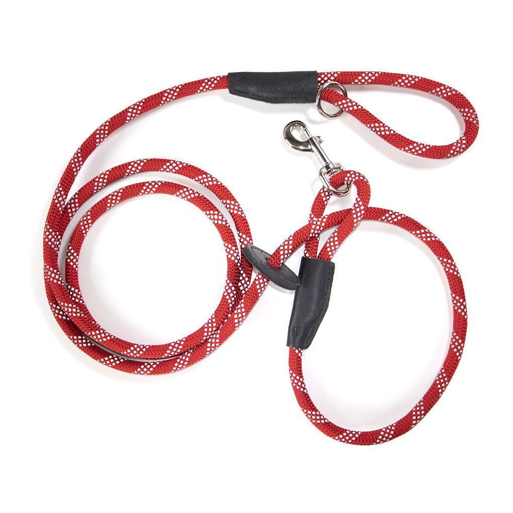 Auburn Harness Leash Reflective Red FINAL SALE