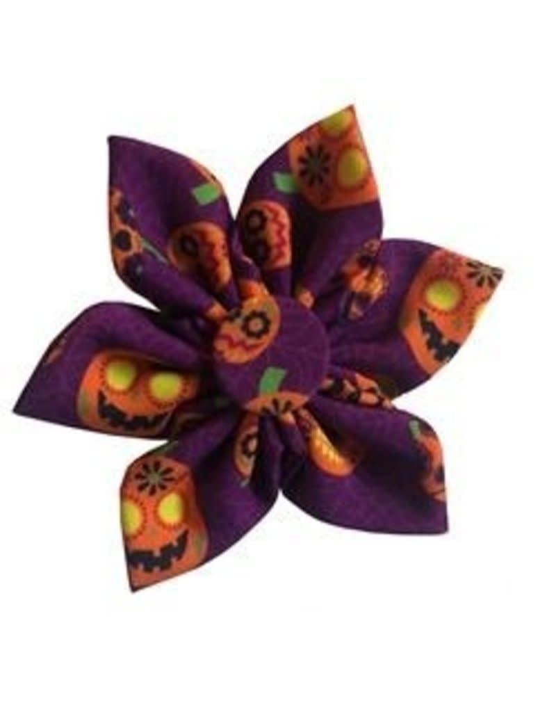 Huxley &amp; Kent Halloween Pinwheel Great Pumpkin L FINAL SALE