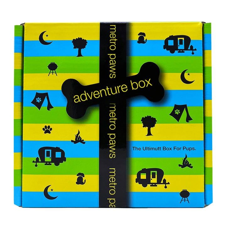Metro Paws Adventrue Box Dog FINAL SALE