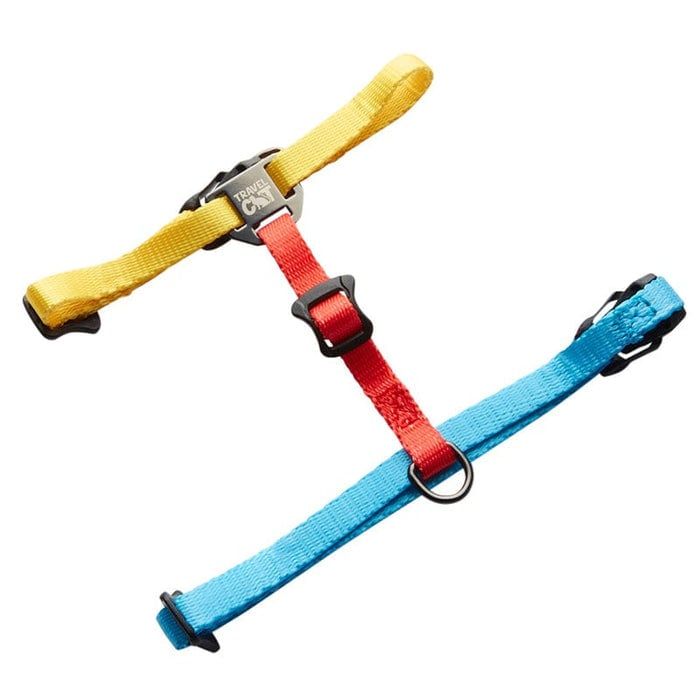 Travel Cat Day Tripper Color Block Harness &amp; Bungee Leash