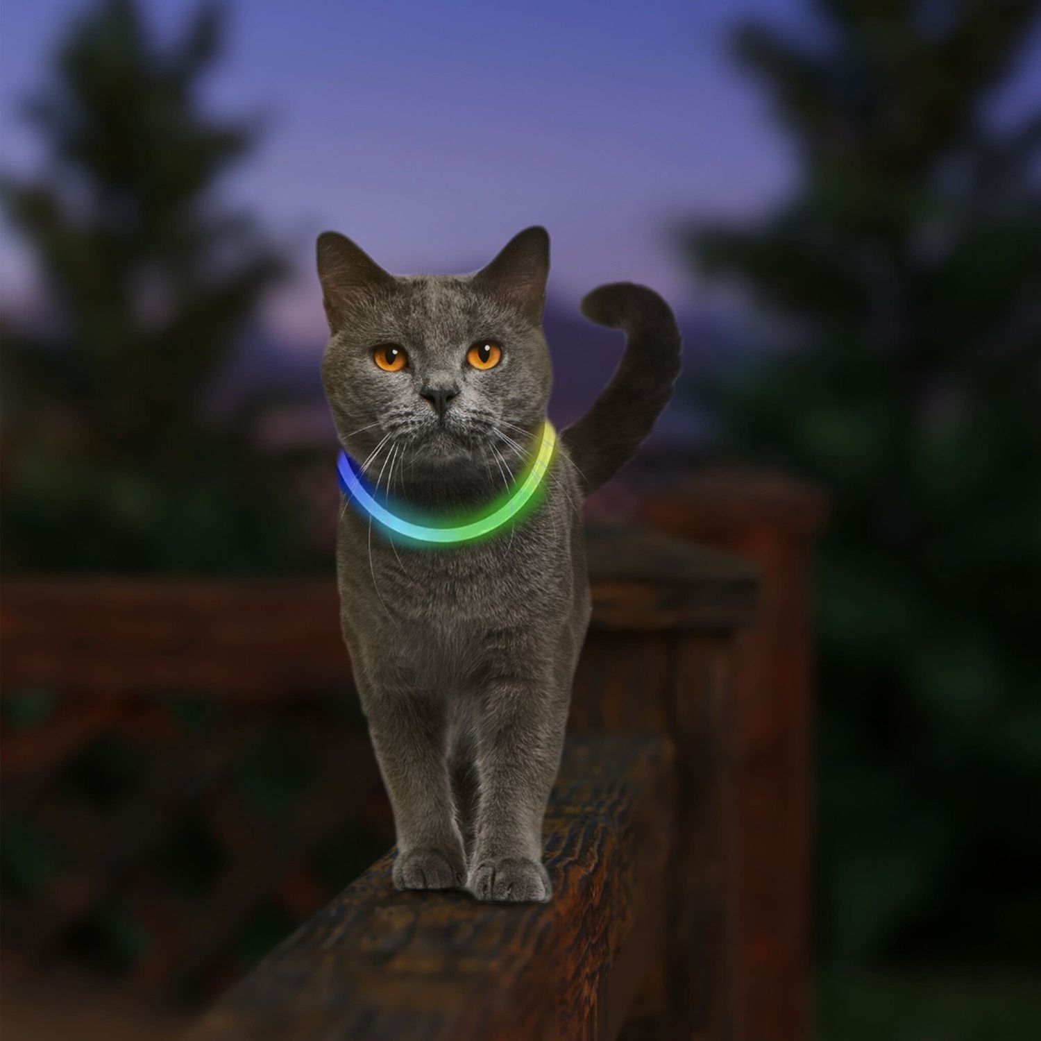 Nite Ize NiteMeow Safety Necklace FINAL SALE