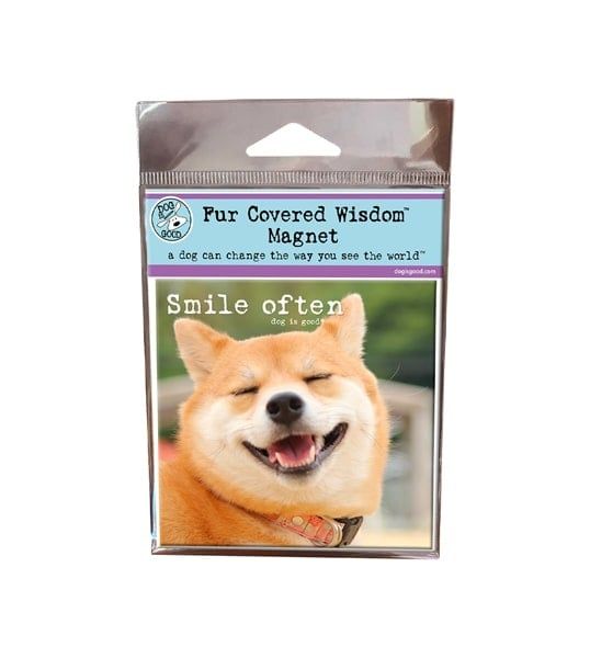 Dog is Good Magnet Smile Often (FINAL SALE)