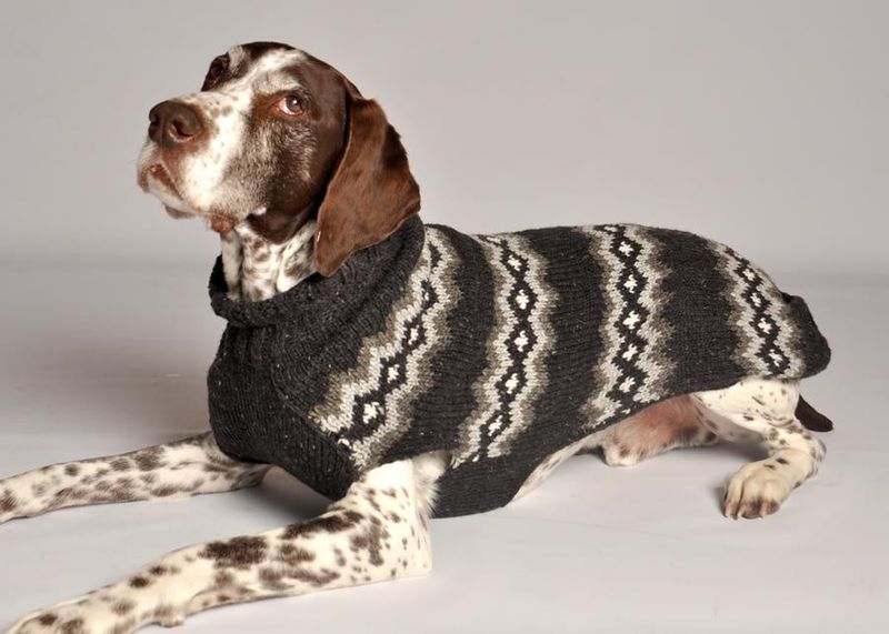 Chilly Dog Grey Dimonds XXXL