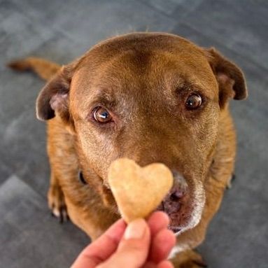 Treats