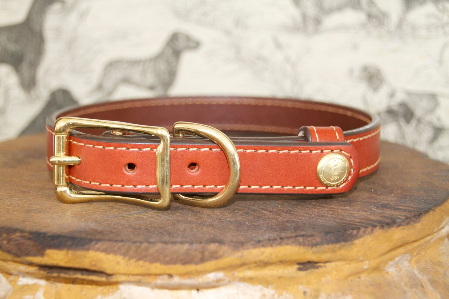 Auburn Collar Pendleton