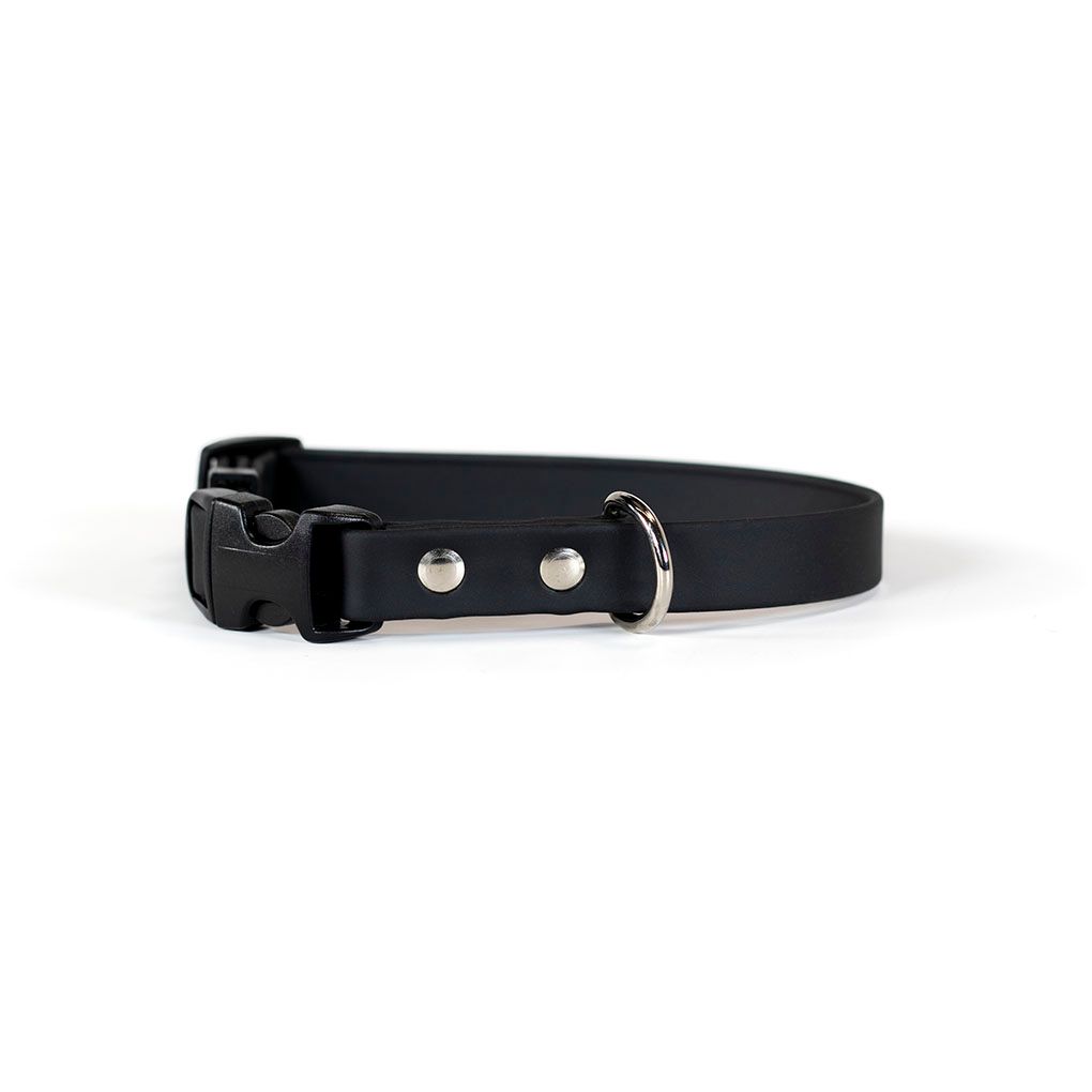 Auburn Collar Sparky&#39;s Adventure Buckle Black