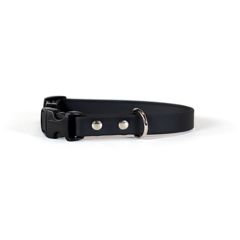 Auburn Collar Sparky&#39;s Adventure Buckle Black