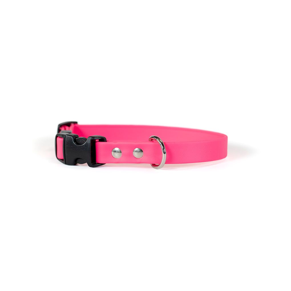 Auburn Collar Sparky&#39;s Adventure Buckle Pink