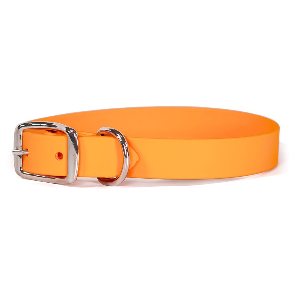 Auburn Collar Sparky&#39;s Choice Buckle Creamsicle