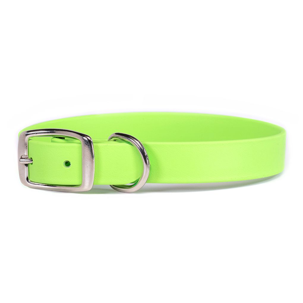 Auburn Collar Sparky&#39;s Choice Buckle Lime