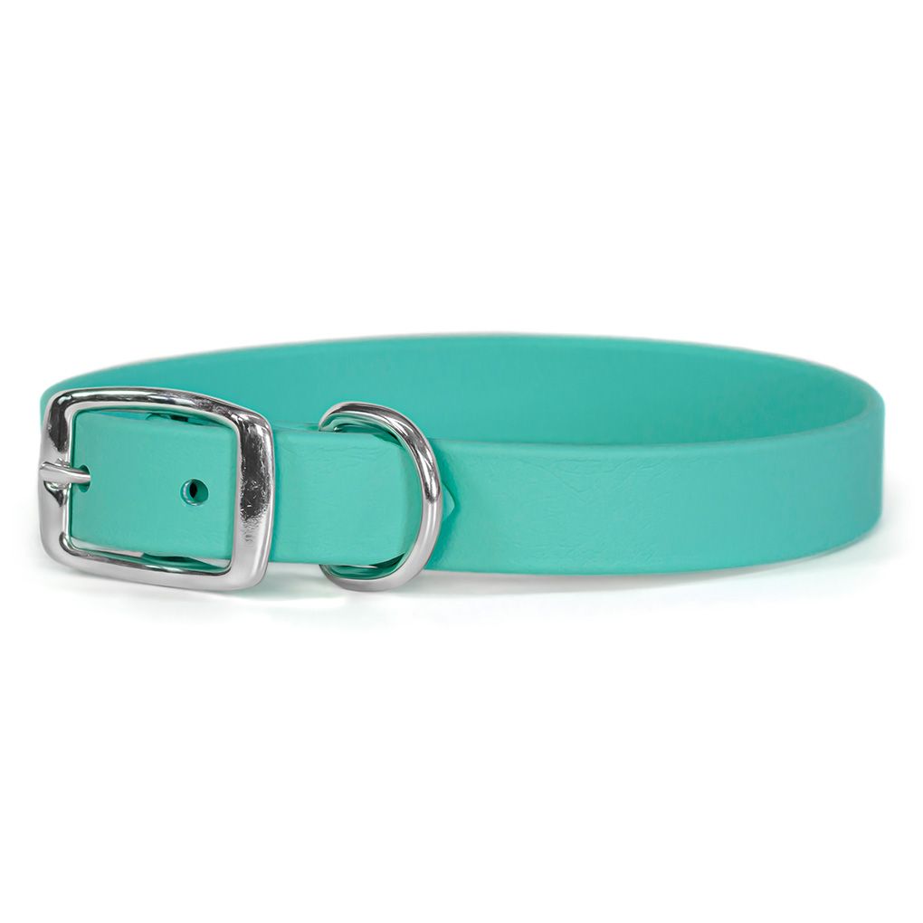 Auburn Collar Sparky&#39;s Choice Buckle Sea Foam