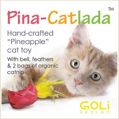 Goli Design Pina-Catlada FINAL SALE