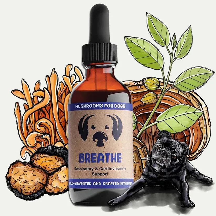 Mycodog Mushroom Tincture Breathe 2oz