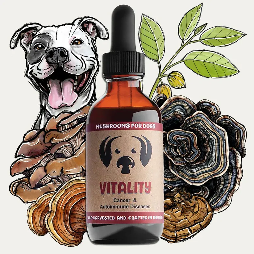 Mycodog Mushroom Tincture Vitality 2oz