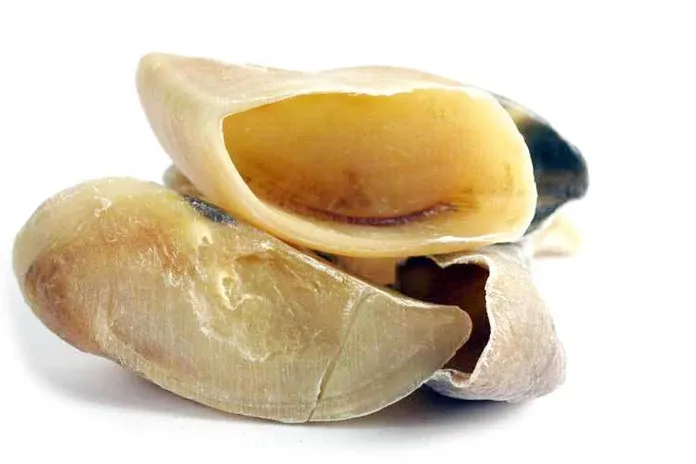Tuesday&#39;s Natural Dog Company Cow Hoof