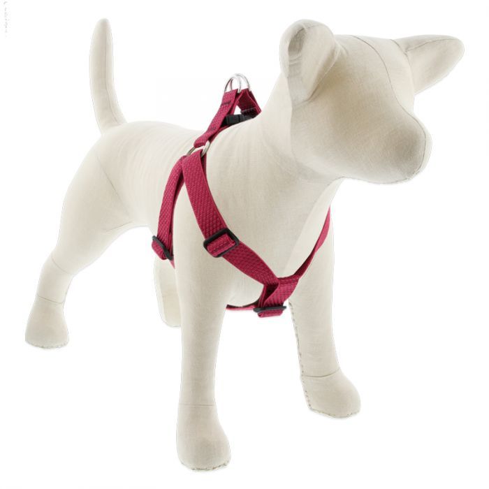 Lupine Eco Step In Harness 1&quot; 19&quot;-28&quot;, Color: Berry