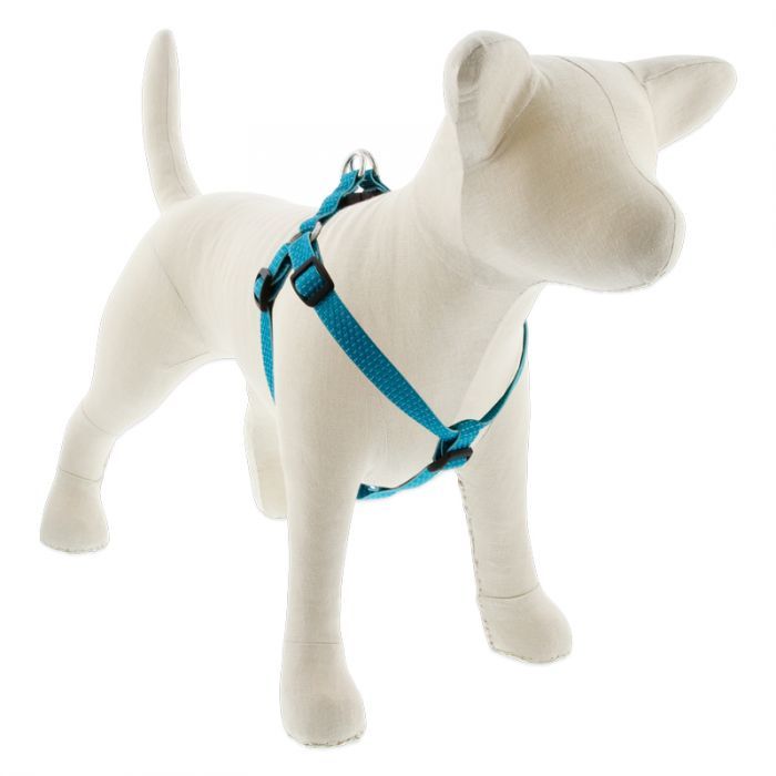 Lupine Eco Step In Harness 3/4&quot; 20&quot;-30&quot;, Color: Tropical Sea