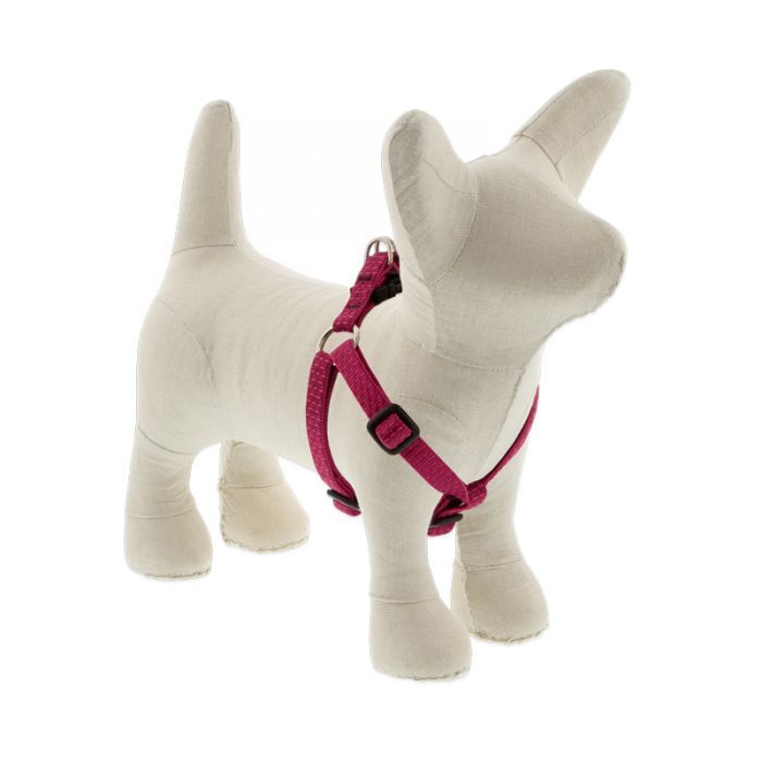 Lupine Eco Step In Harness 1/2&quot; 10&quot;-13&quot;, Color: Berry