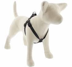 Lupine Eco Step In Harness 1/2&quot; 12&quot;-18&quot;, Color: Charcoal