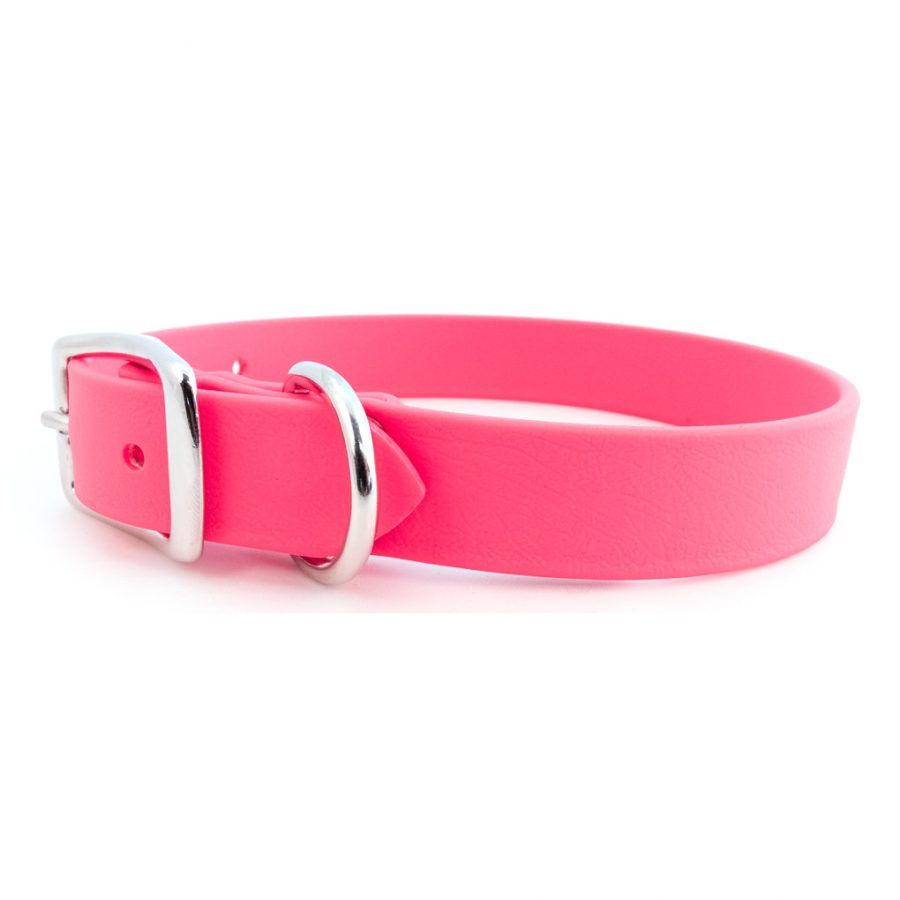 Auburn Collar Sparky&#39;s Choice Buckle Pink, Size: 3/4x14