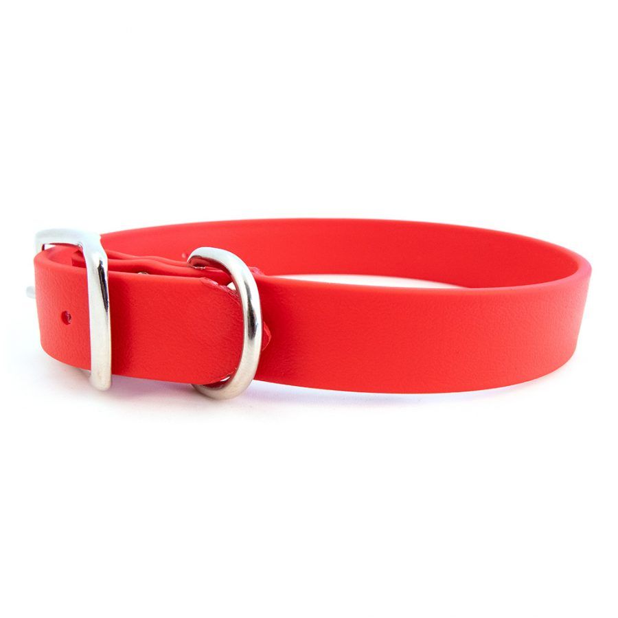 Auburn Collar Sparky&#39;s Choice Buckle Red