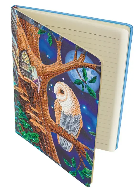 Owl and Fairy Notebook Kit