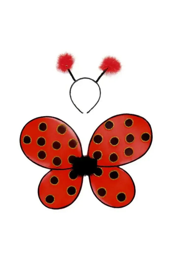 Ladybug Wings &amp; Headband