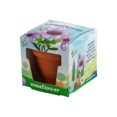 Buzzy Seeds Mini Grow Pot Coneflower