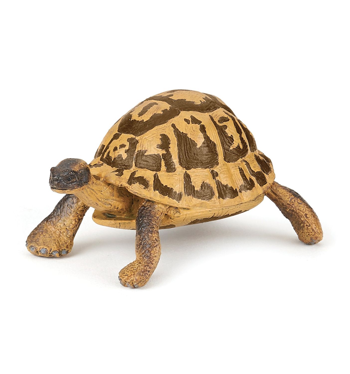 Papo Hermann&#39;s Tortoise