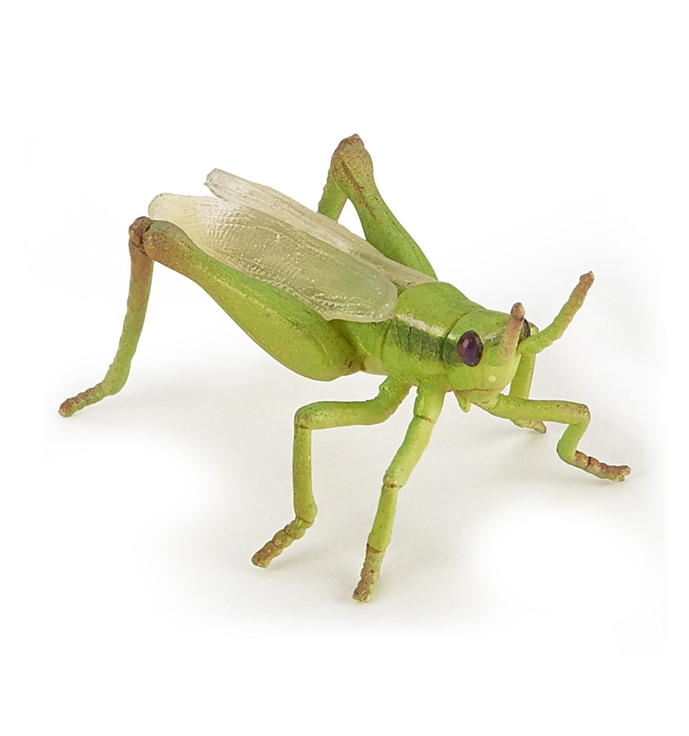 Papo Grasshopper