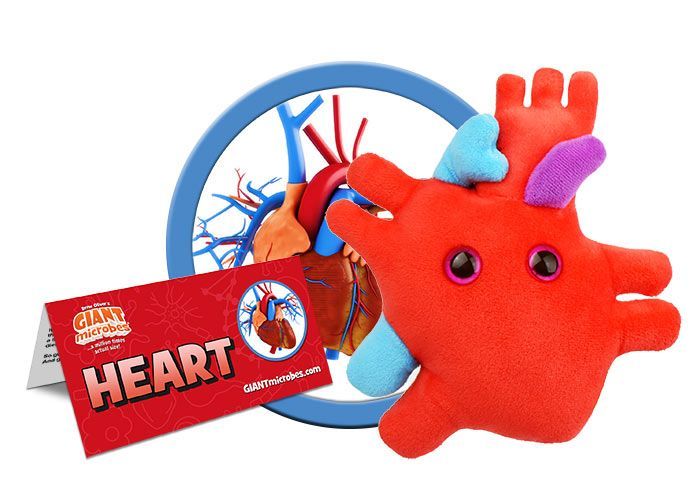 Giant Microbes Heart