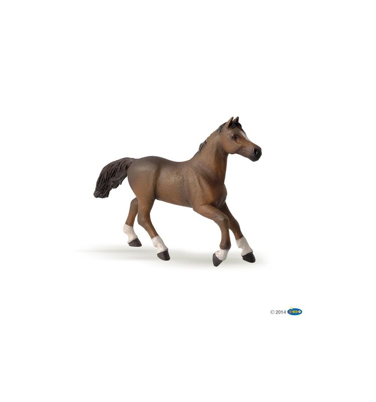 Papo Anglo-Arab Mare