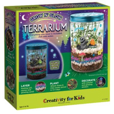Creativity for Kids Glow n' Grow Terrarium