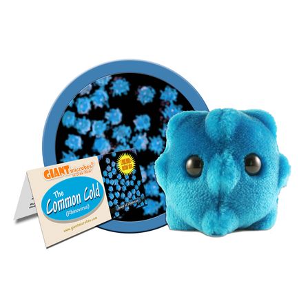 Giant Microbes Common Cold