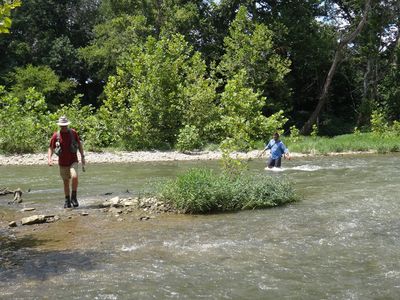 Local Guide Trips