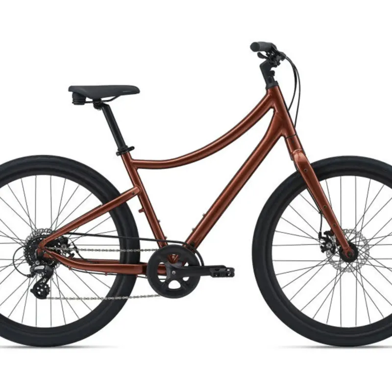 MOMENTUM Vida Small Copper