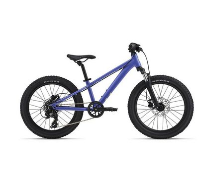 STP 20 FS-LIV Dusted Peri